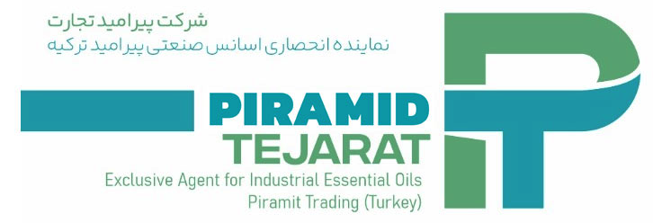 لوگوی پیرامید تجارت